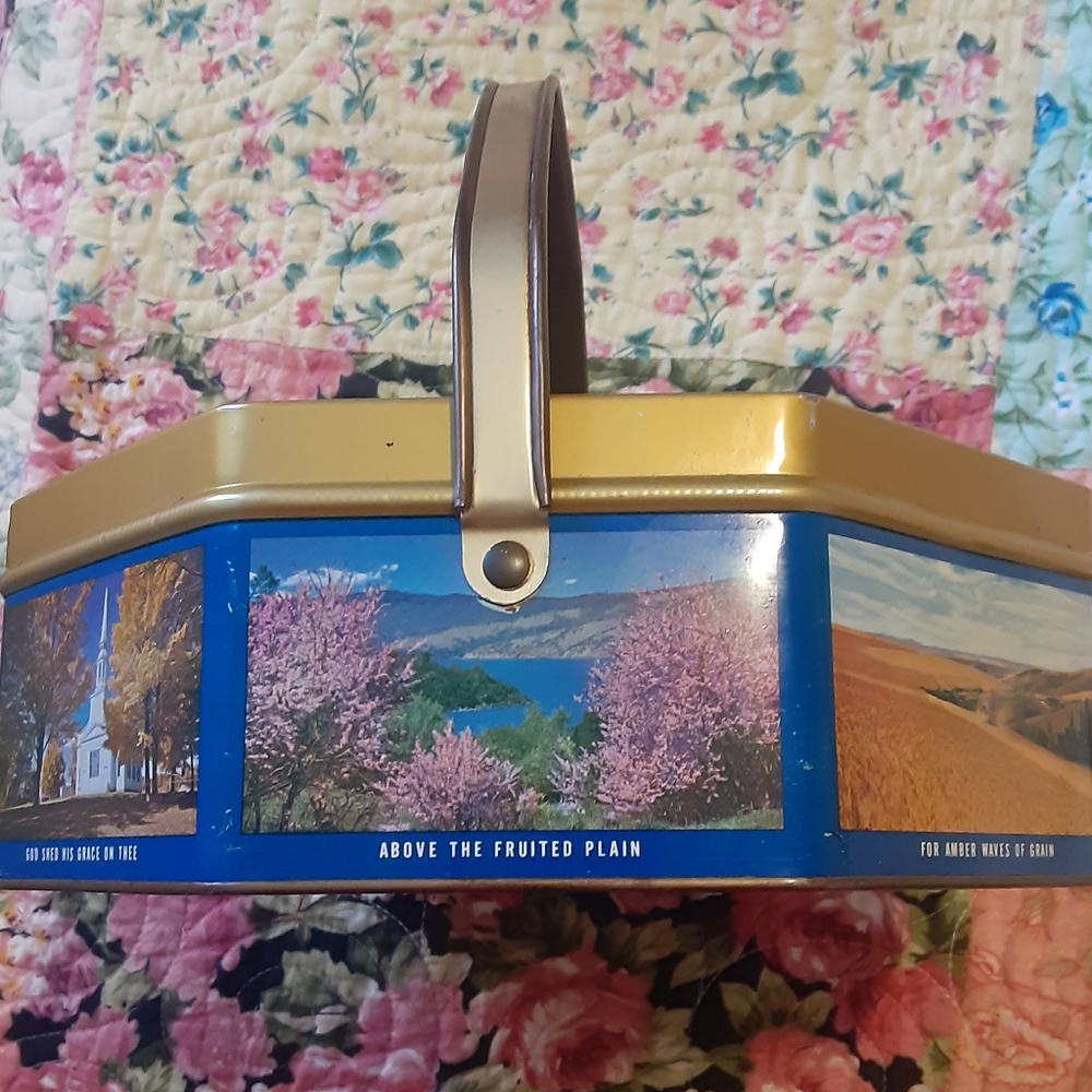 Sunshine Biscuit Tin-no lid